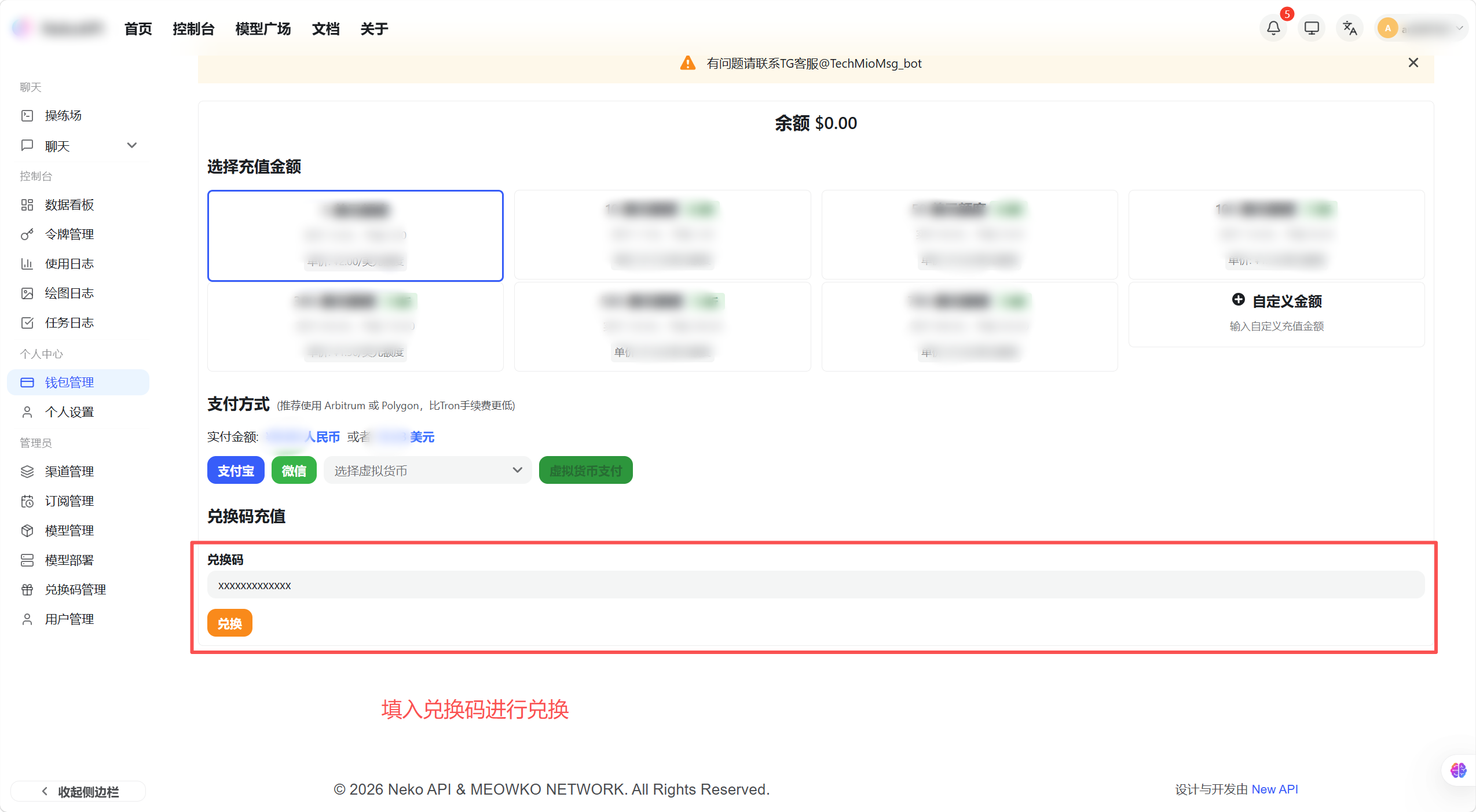 兑换码输入区域